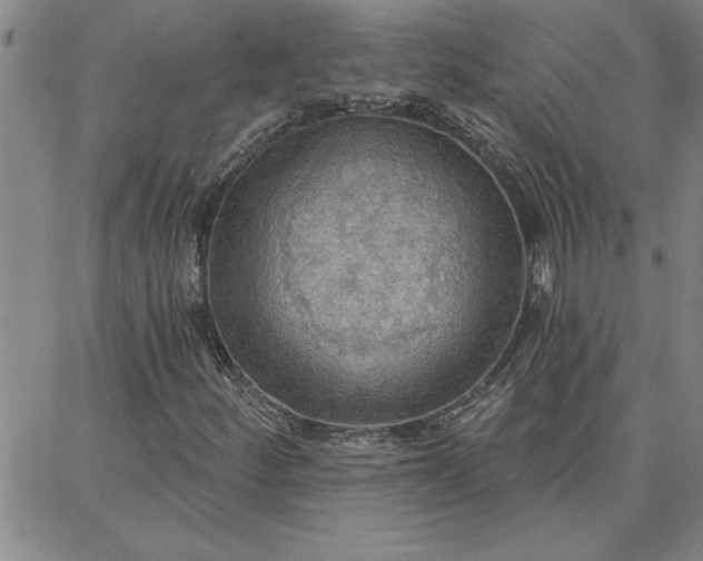 X0000087741252200705211003