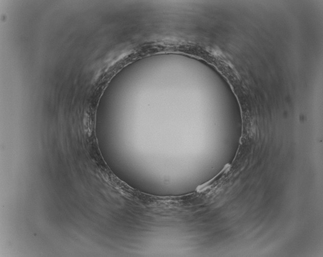 X0000087741253200705211003