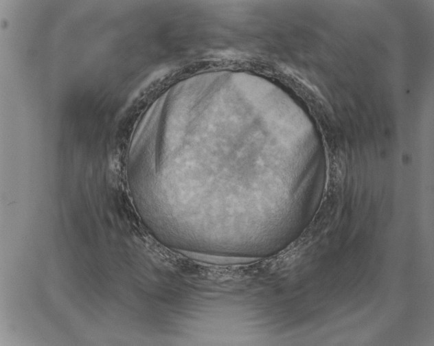 X0000087741254200705211003