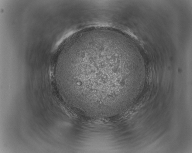 X0000087741255200705211003