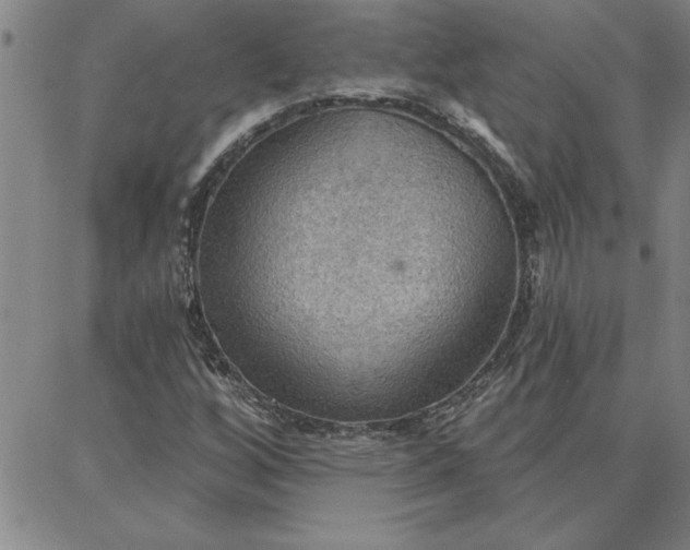 X0000087741256200705211003