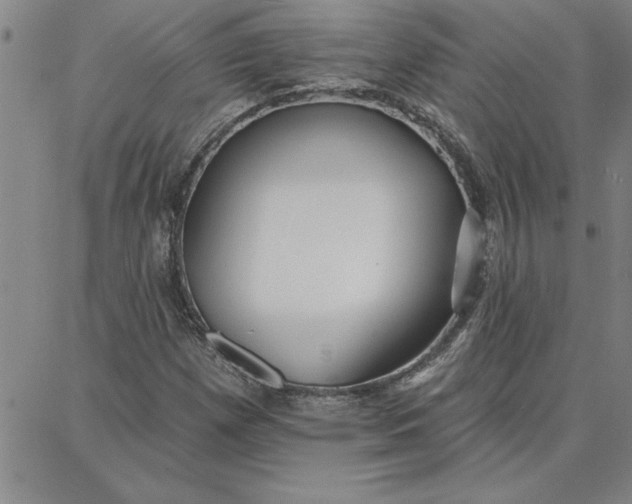 X0000087741257200705211003