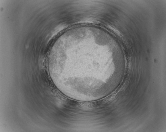 X0000087741258200705211003