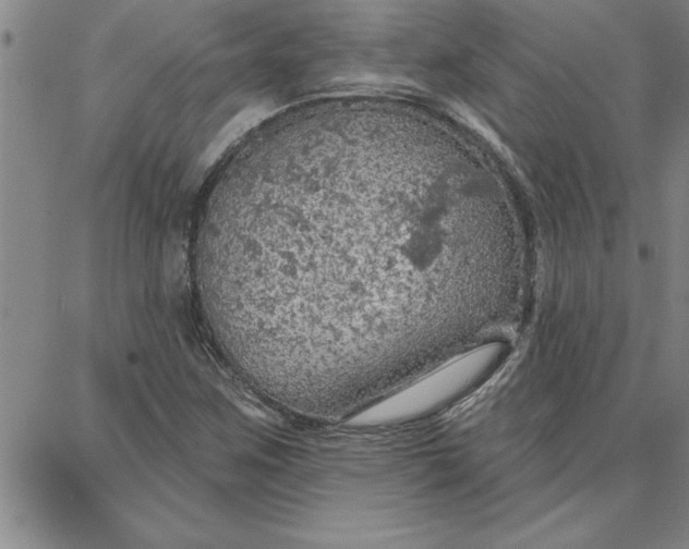 X0000087741259200705211003