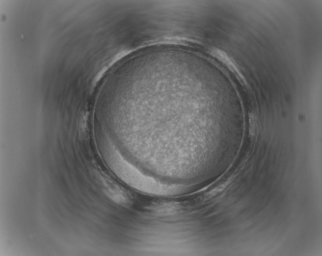 X0000087741260200705211003