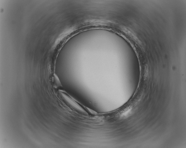 X0000087741261200705211003