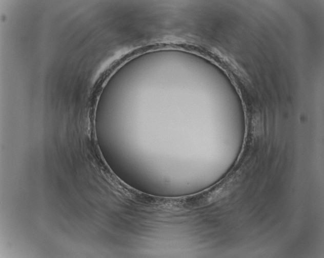 X0000087741262200705211003