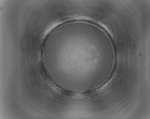 X0000087741263200705211003