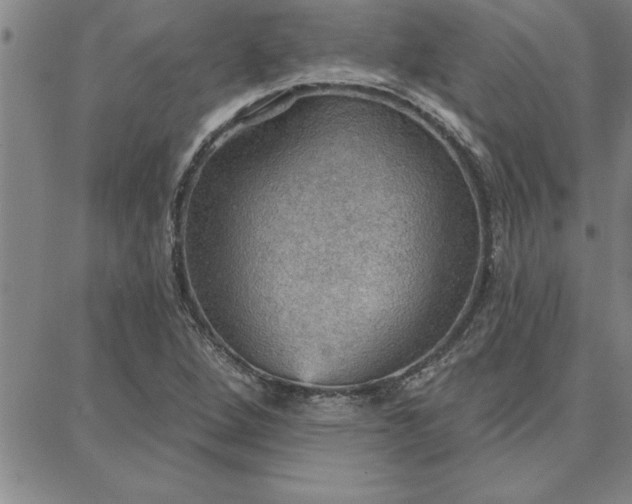 X0000087741264200705211003