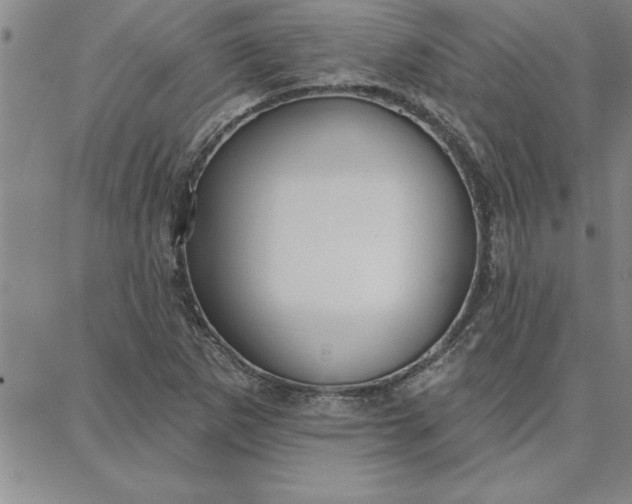 X0000087741265200705211003