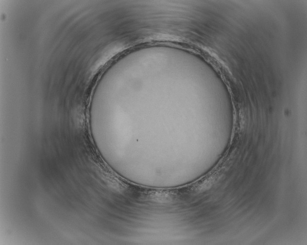 X0000087741266200705211003