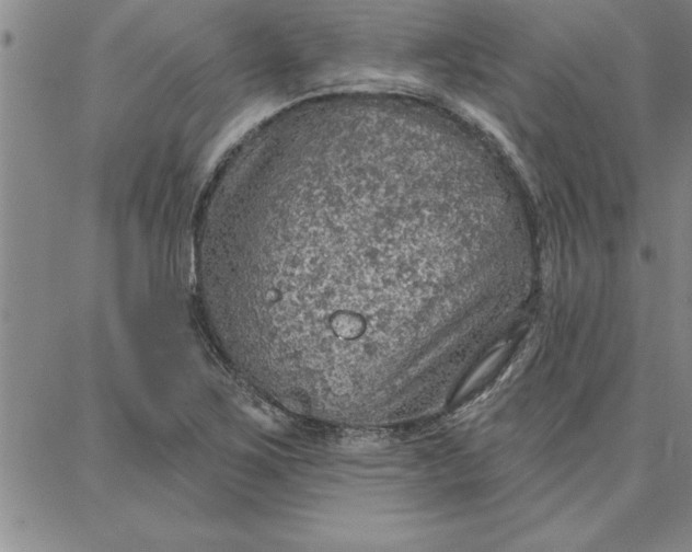 X0000087741267200705211003