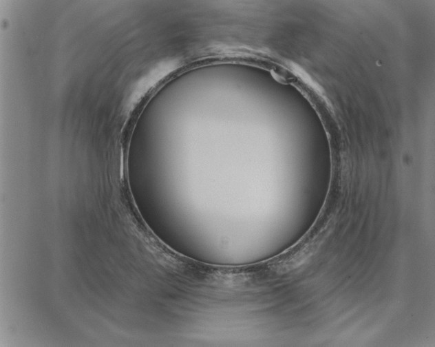 X0000087741269200705211003