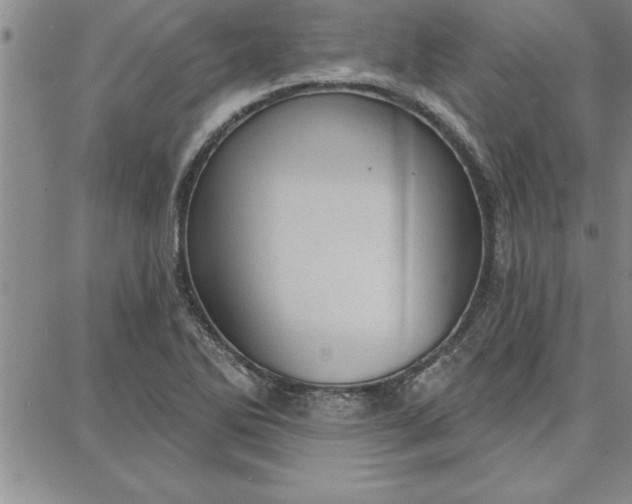 X0000087741270200705211003