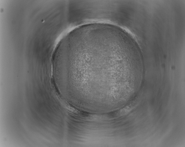 X0000087741271200705211003