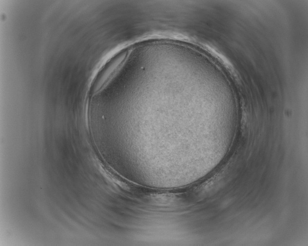 X0000087741272200705211003