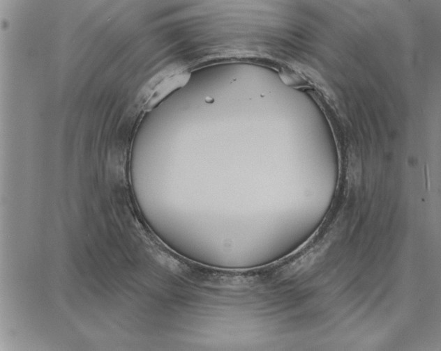 X0000087741273200705211003