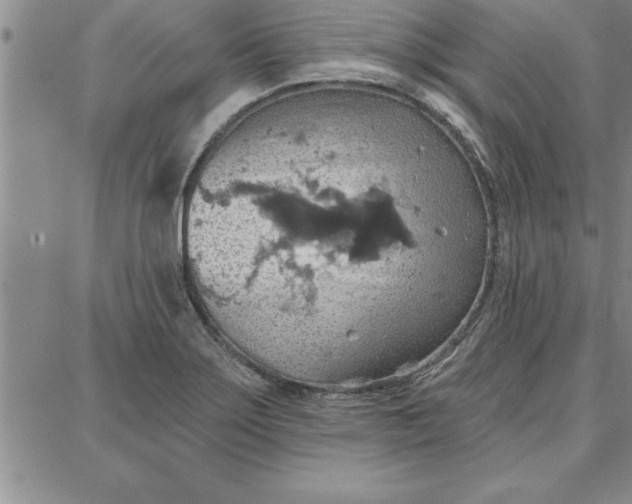 X0000087741275200705211003