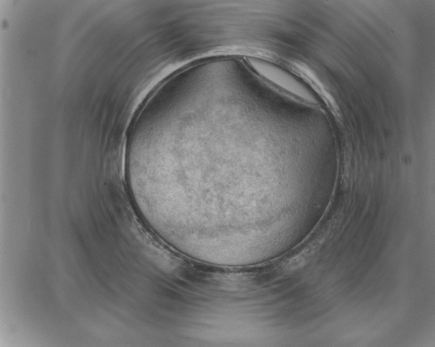 X0000087741276200705211003