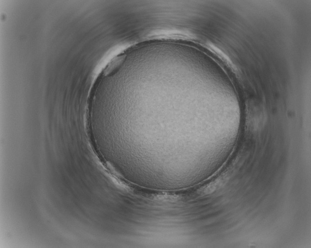 X0000087741277200705211003