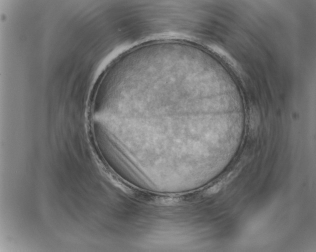 X0000087741278200705211003