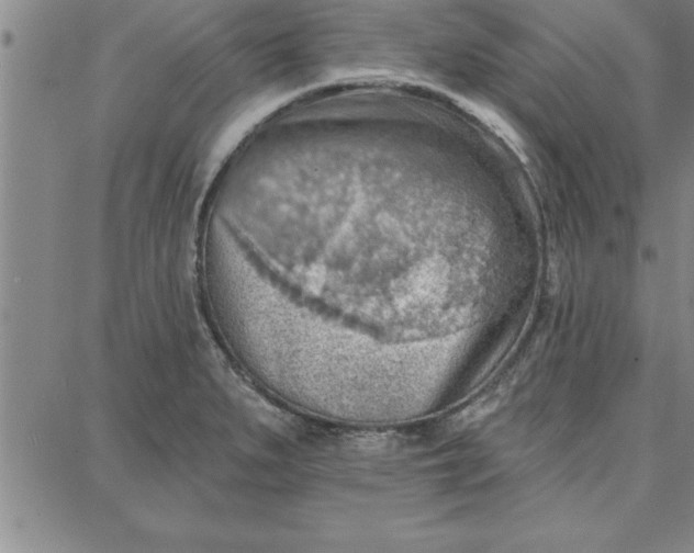 X0000087741279200705211003