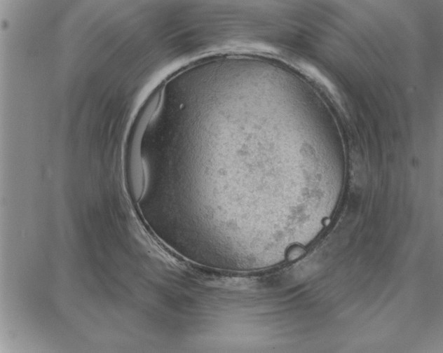 X0000087741280200705211003