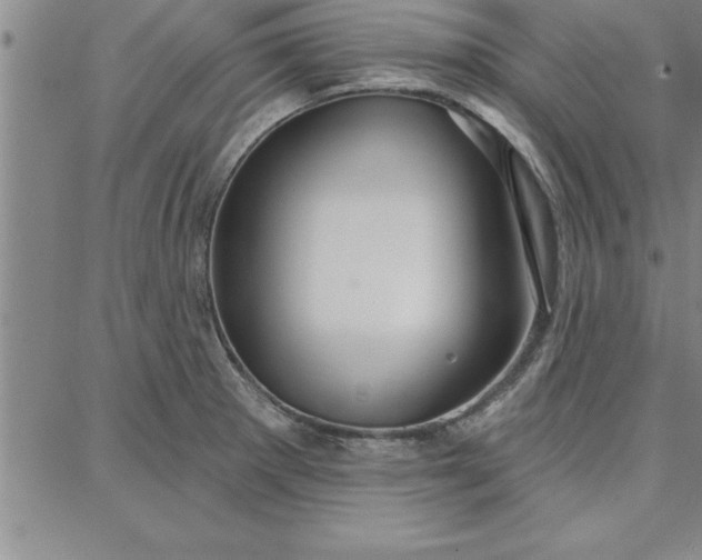 X0000087741281200705211003