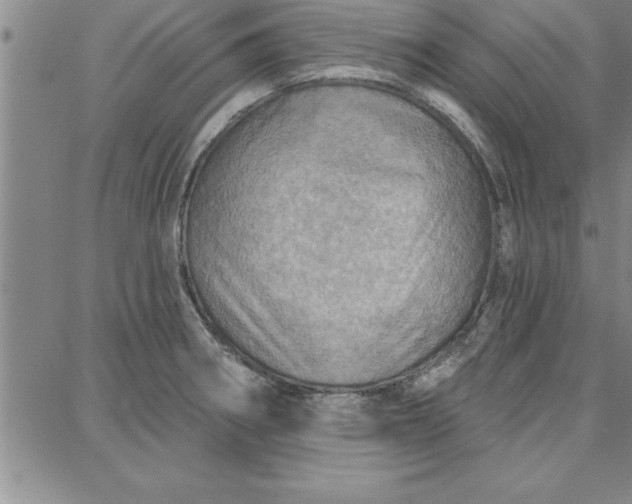 X0000087741282200705211003