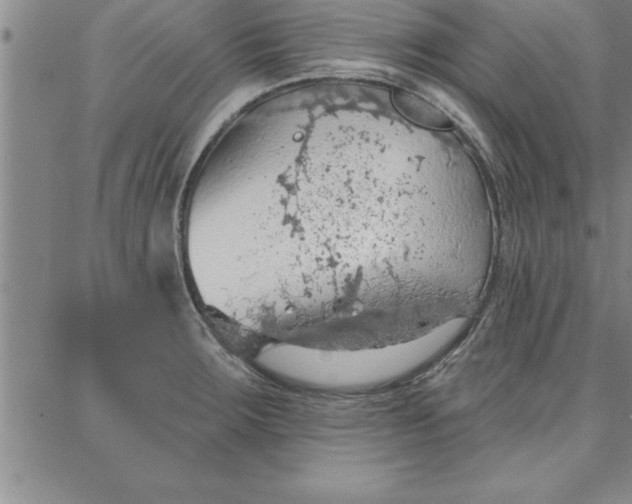 X0000087741283200705211003