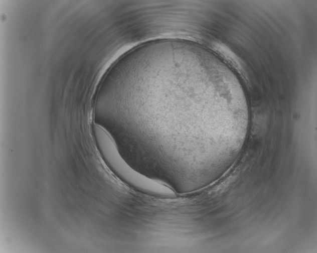 X0000087741284200705211003