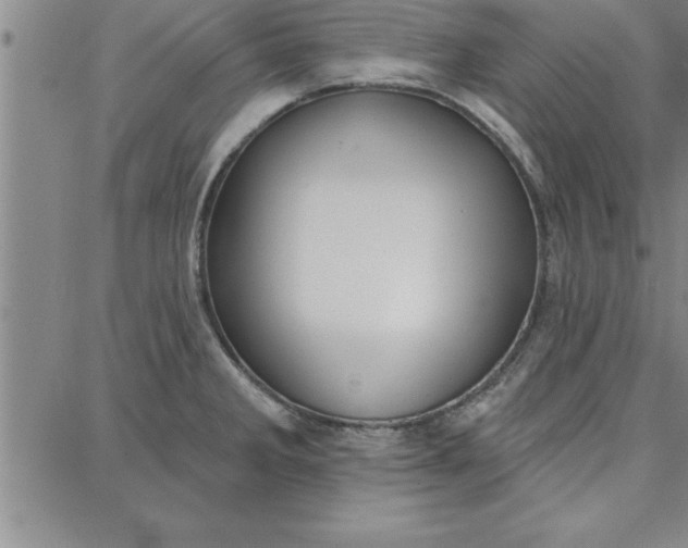 X0000087741285200705211003