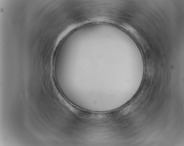 X0000087741286200705211003