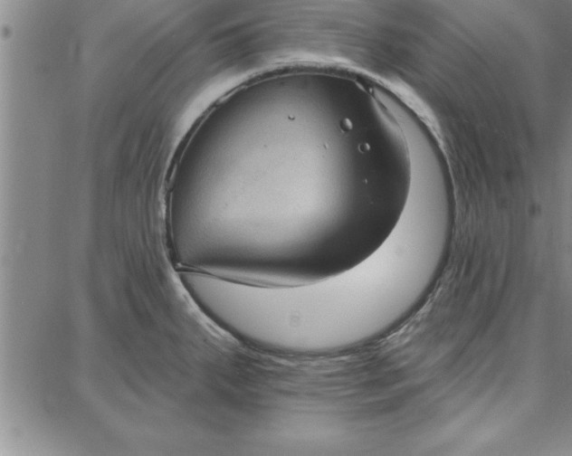 X0000087741287200705211003