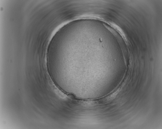 X0000087741288200705211003