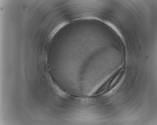 X0000087741289200705211003