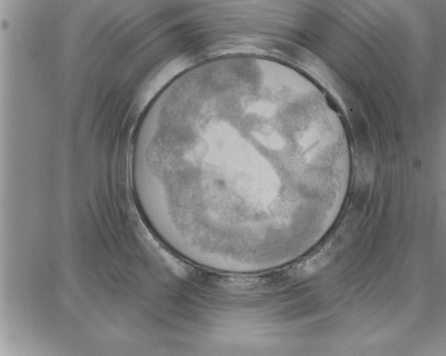 X0000087741290200705211003