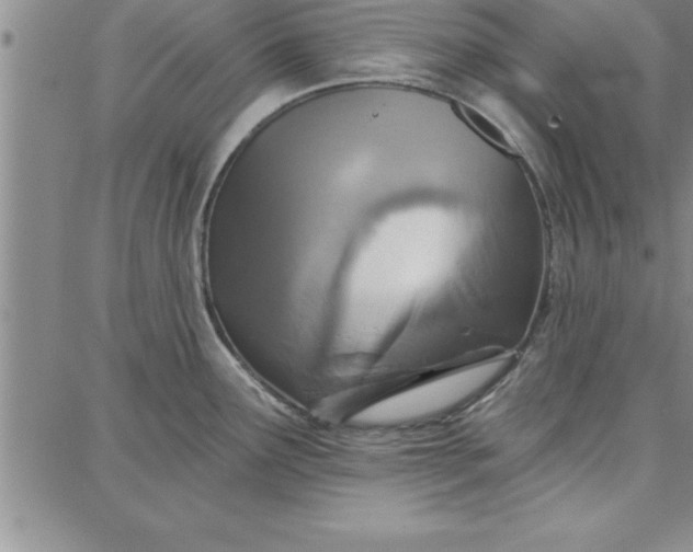 X0000087741291200705211003