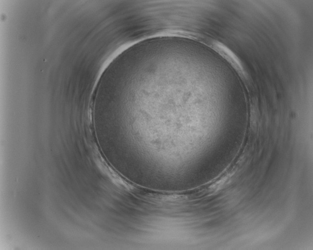 X0000087741292200705211003