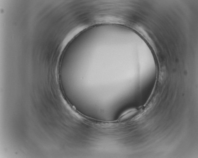 X0000087741293200705211003