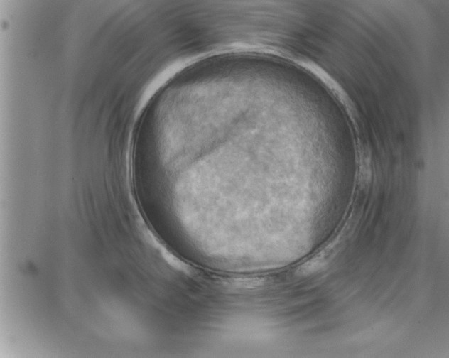 X0000087741294200705211003