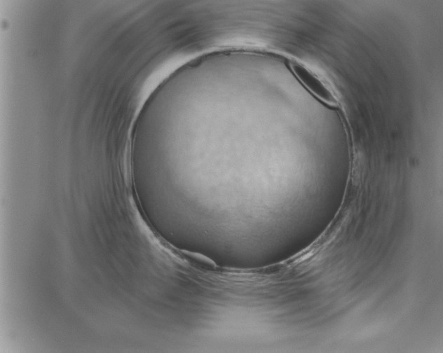 X0000087741295200705211003