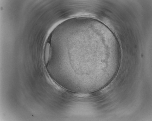 X0000087741296200705211003