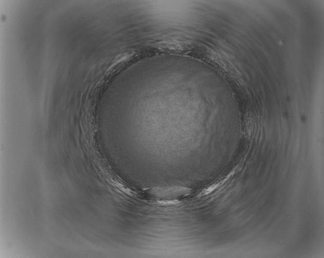 X0000087741297200705211002