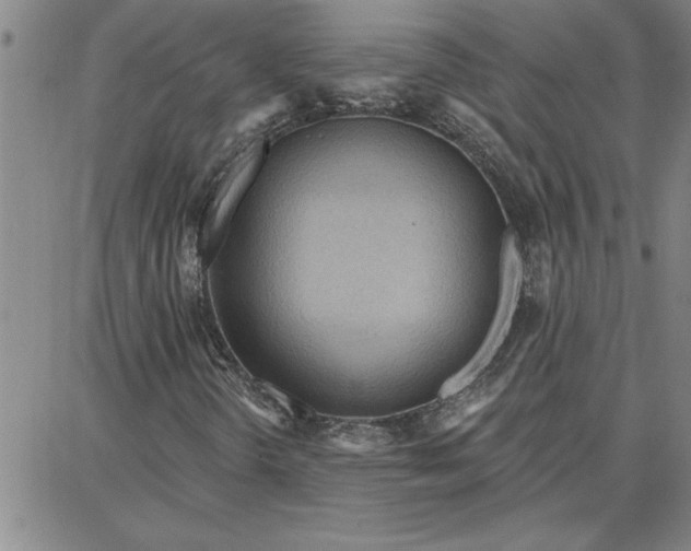 X0000087741298200705211002