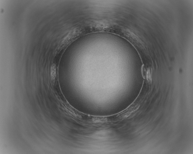 X0000087741299200705211002