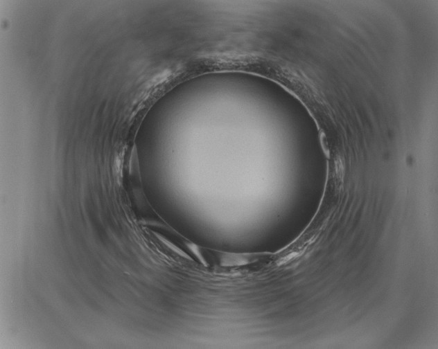 X0000087741300200705211002