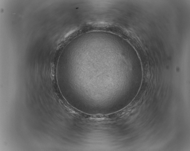 X0000087741301200705211002