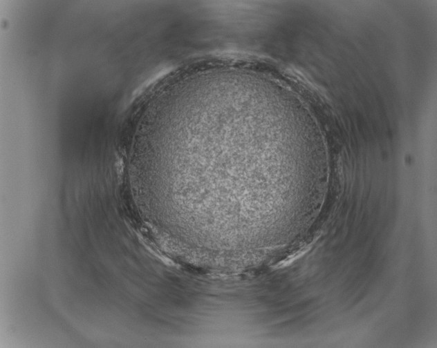 X0000087741302200705211002