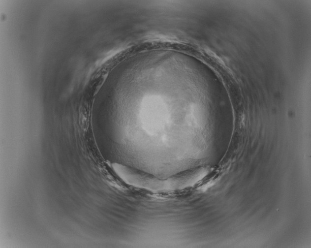 X0000087741303200705211002